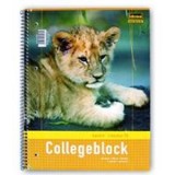 Idena Collegeblock A4 kariert