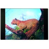 Idena Schreibunterlage Leopard