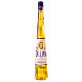 Galliano 30% 0,7l